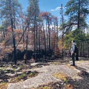 Meet your Posher, Tom